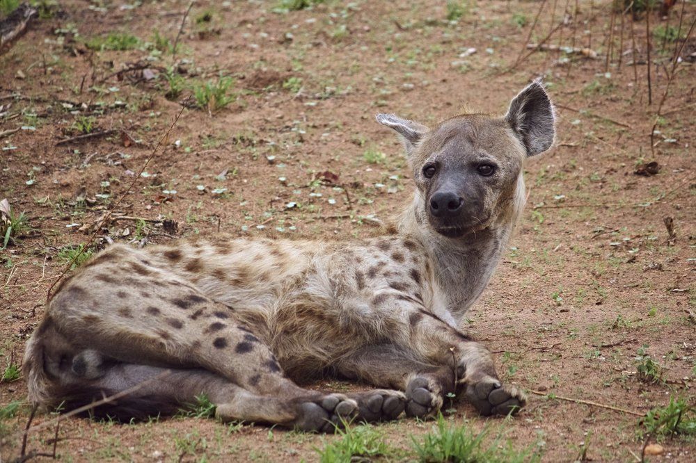 Ну чего тебе, убогий?