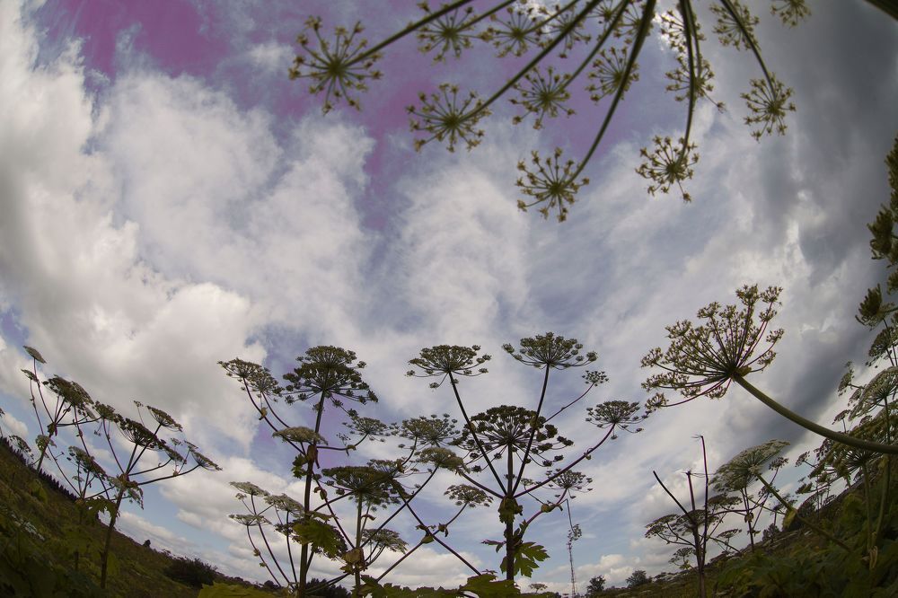 Photograph by Екатерина