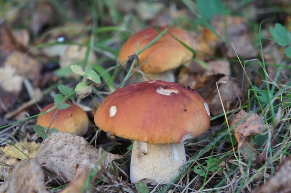 Photograph by Екатерина