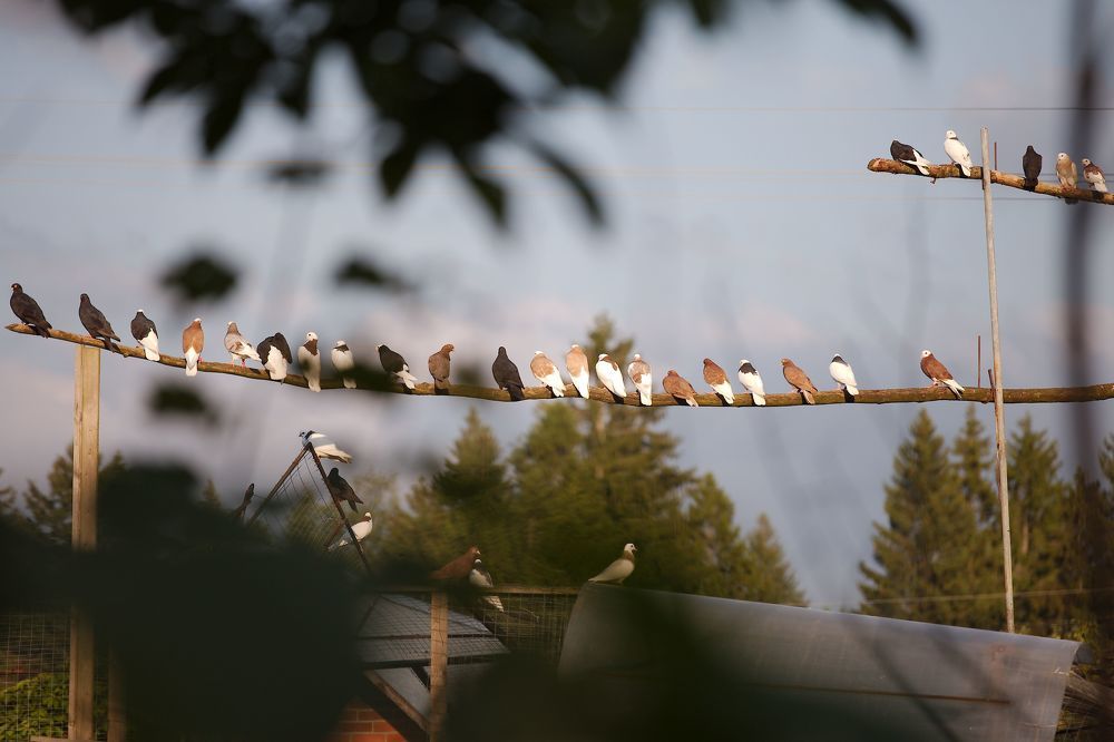 Photograph by Екатерина