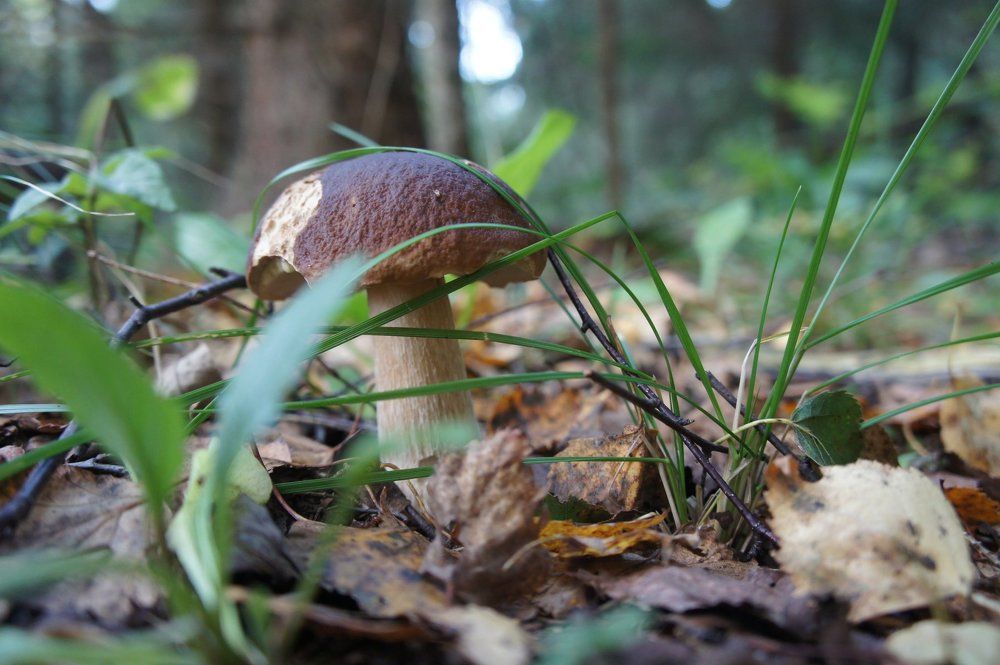 Photograph by Екатерина