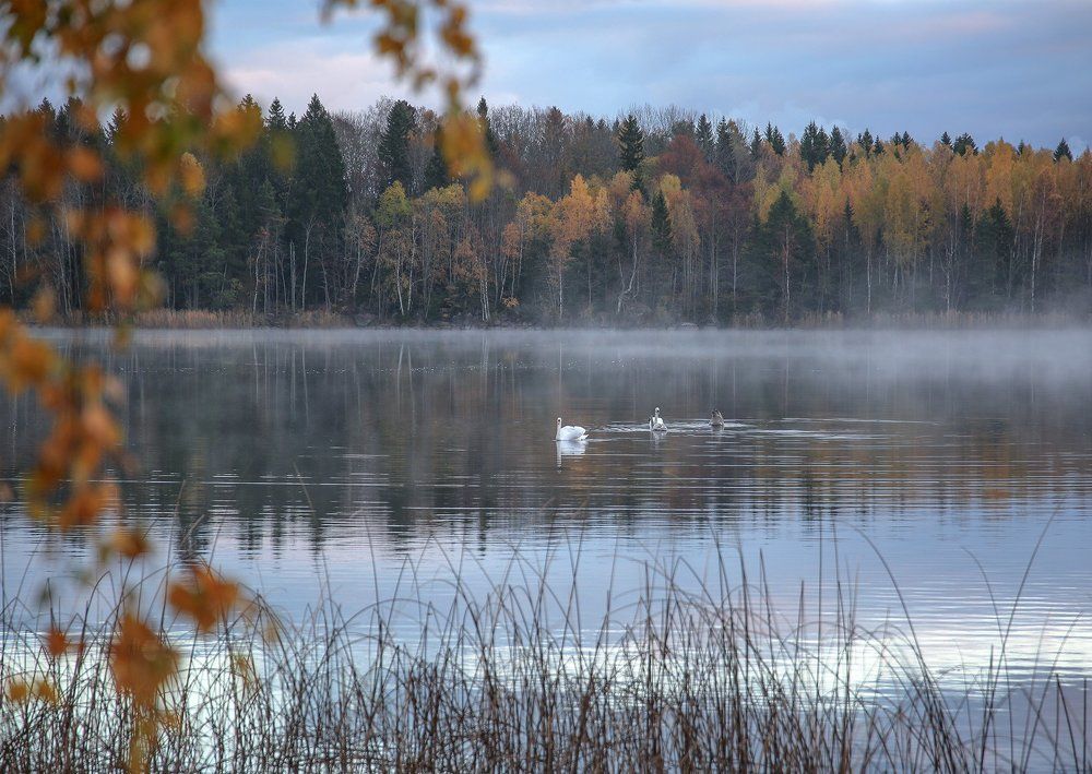 Встречи у озера