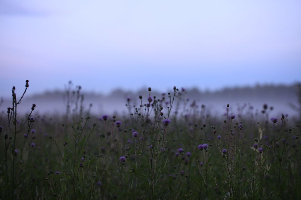 Photograph by Екатерина