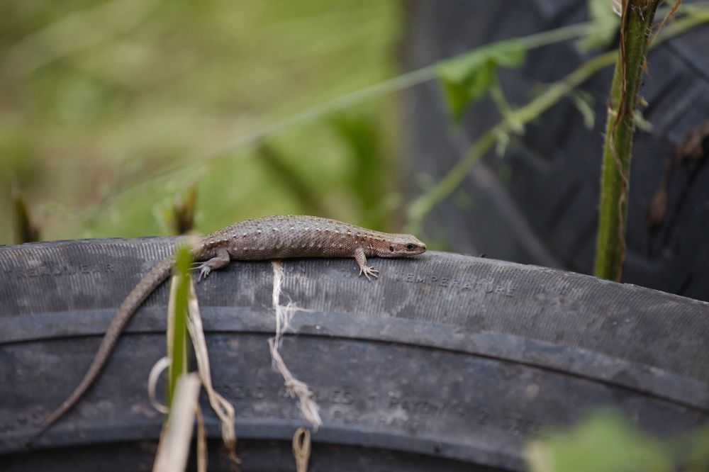 Photograph by Екатерина