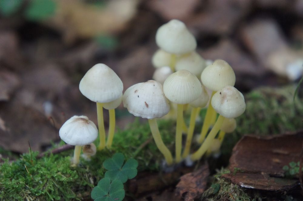 Photograph by Екатерина