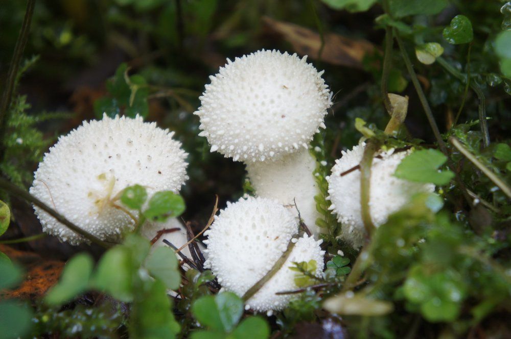 Photograph by Екатерина