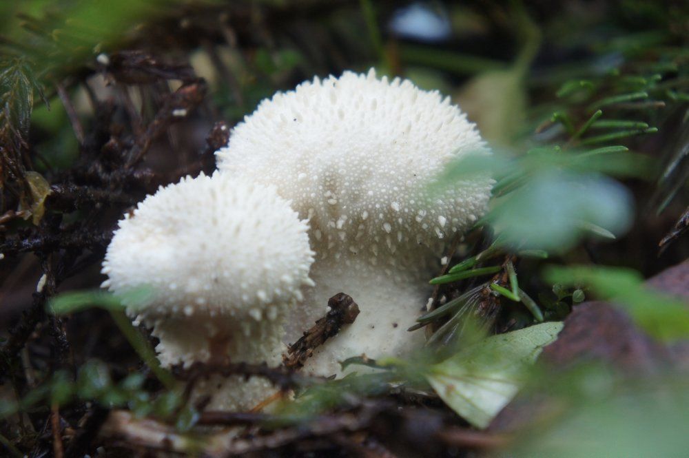 Photograph by Екатерина