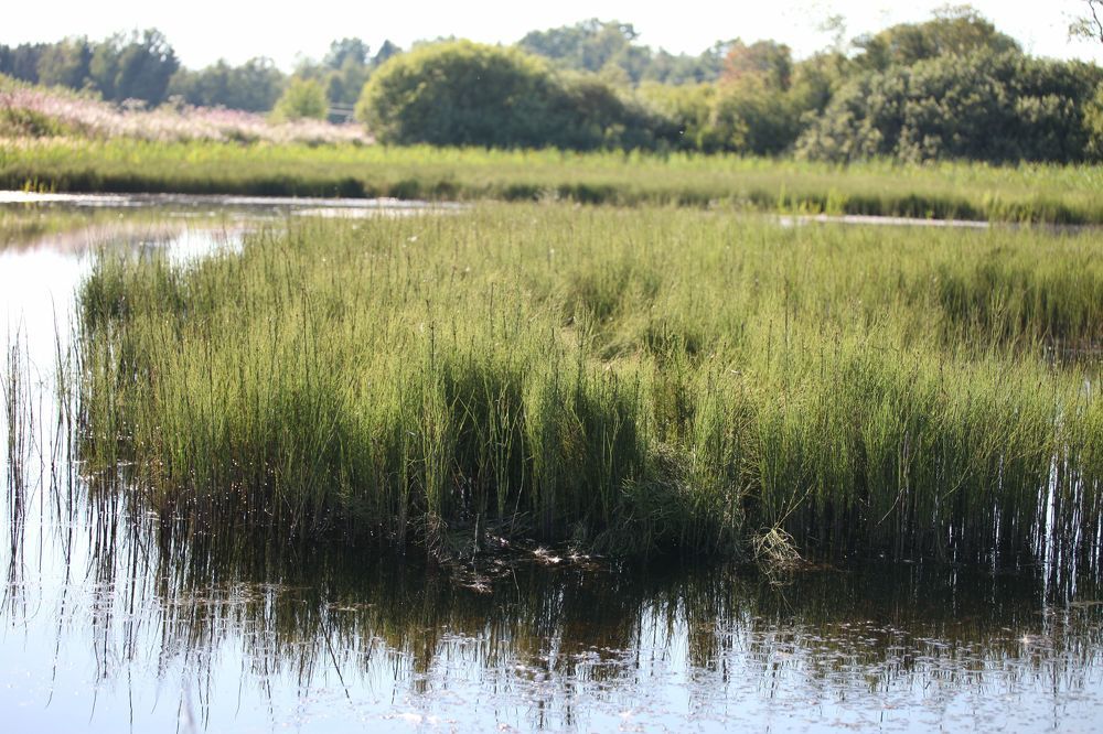 Photograph by Екатерина