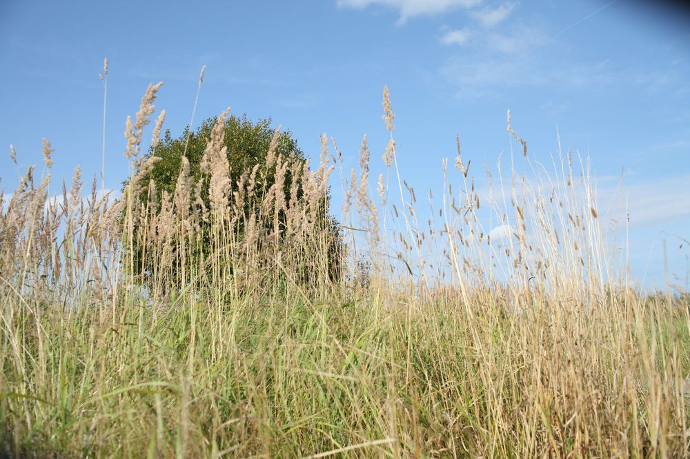 Photograph by Екатерина