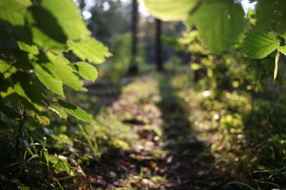 Photograph by Екатерина