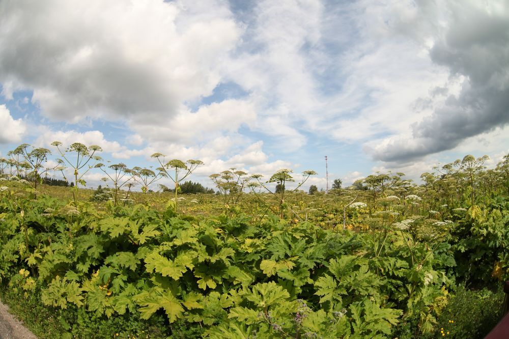 Photograph by Екатерина