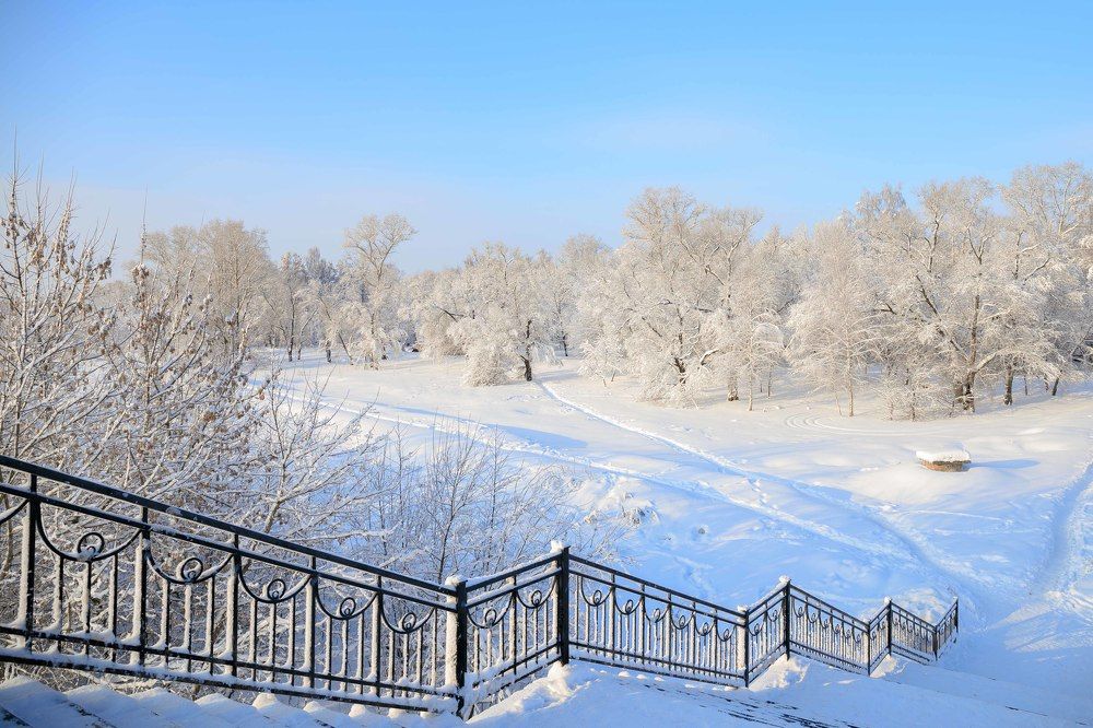 Зимнее утро