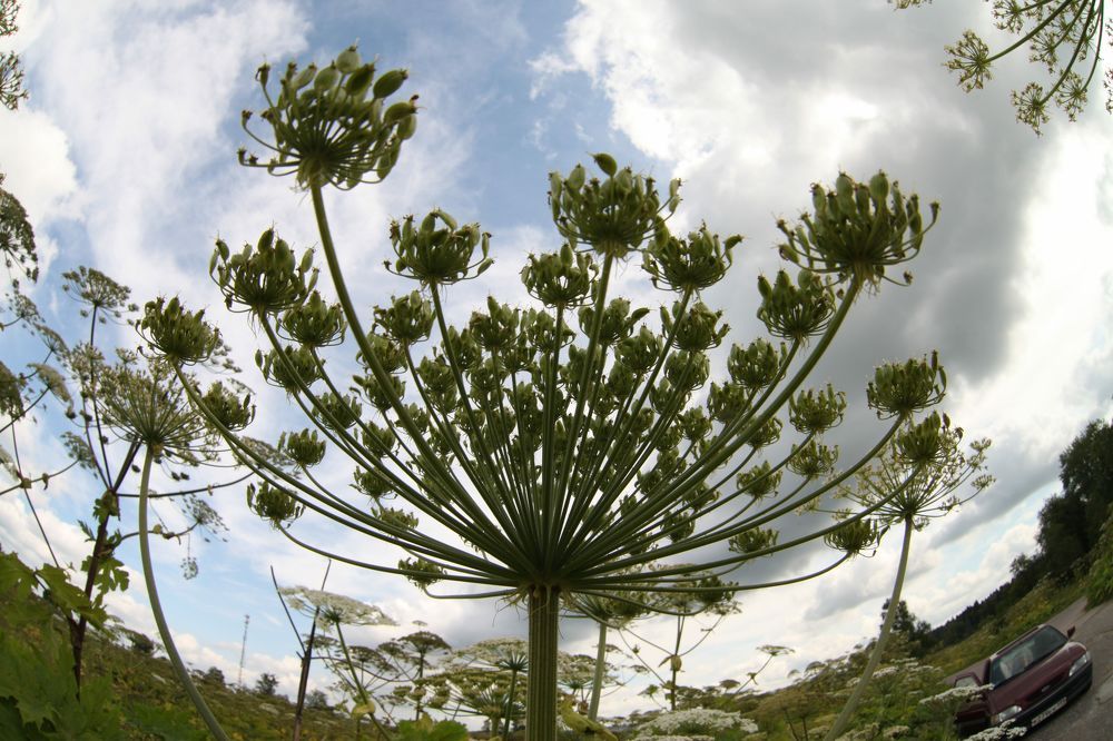 Photograph by Екатерина