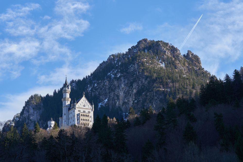 Пролетая над гнездом Людвига