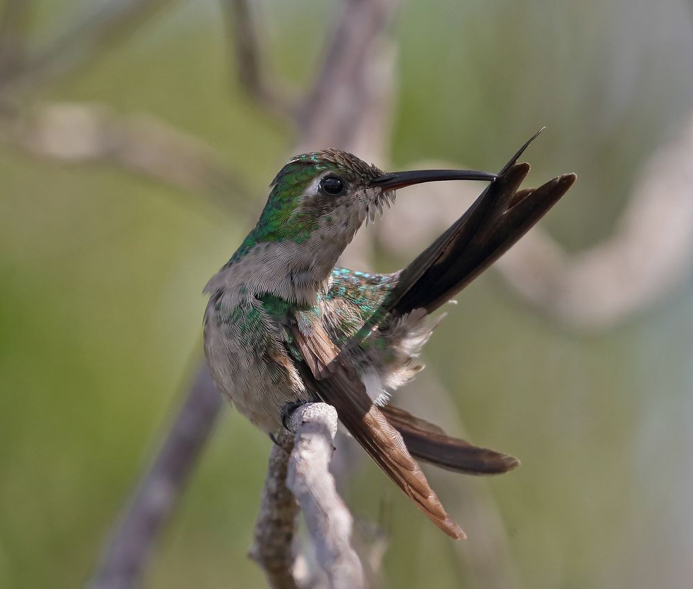 Акробатический этюд