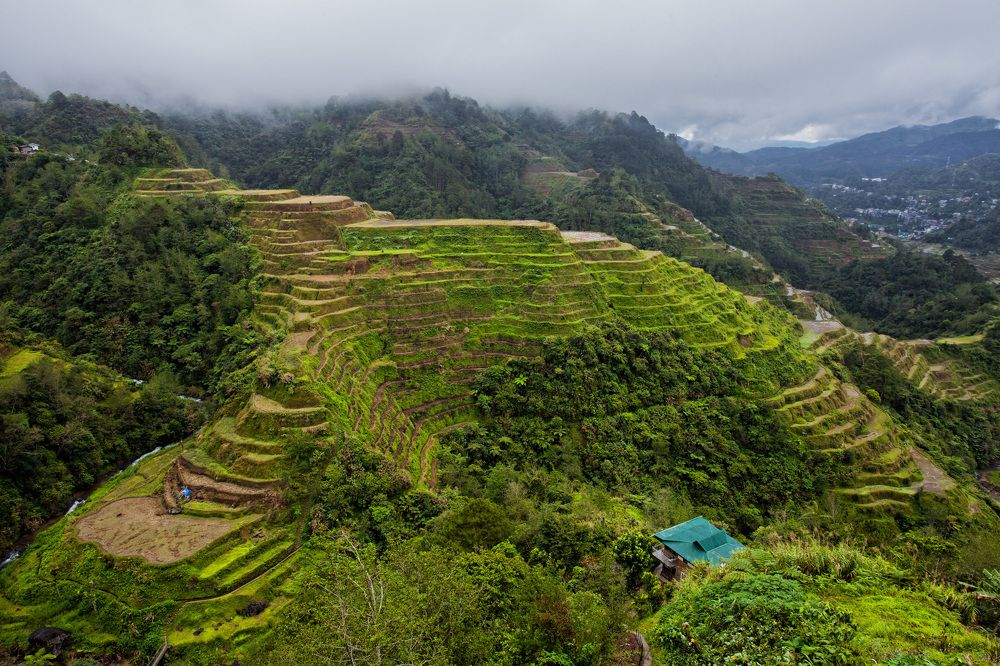 Рисовые террасы Банауэ