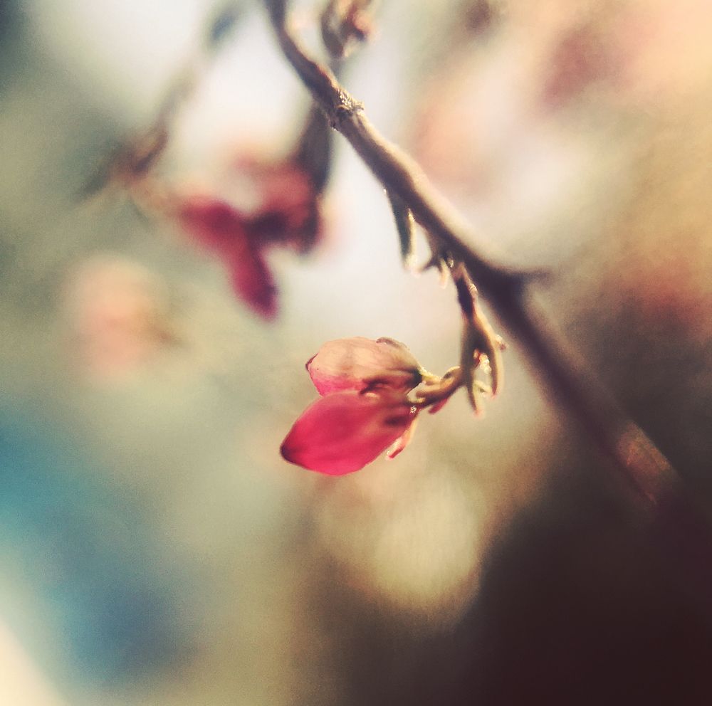 Так выглядит весна