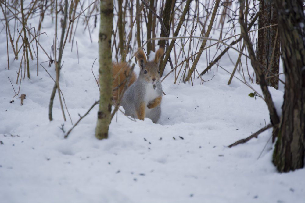 Photograph by Яна Кобелева