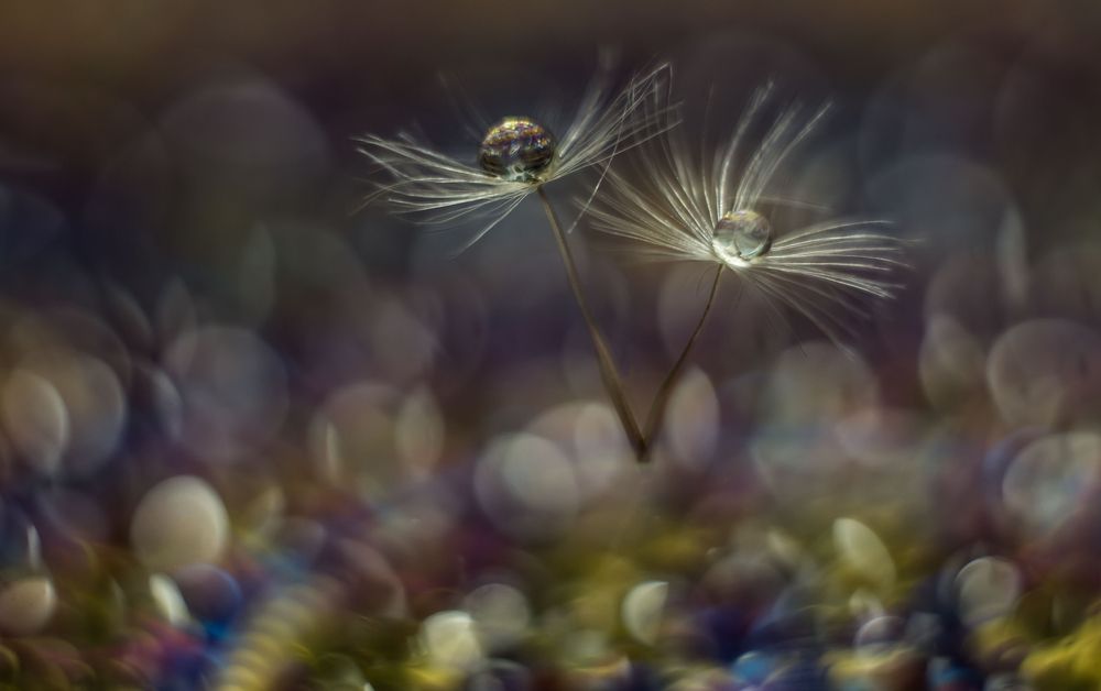 Photograph by Викулов Николай