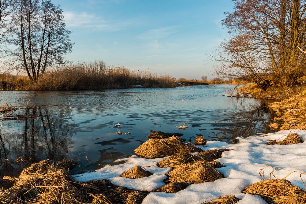 Река Усманка, Воронеж