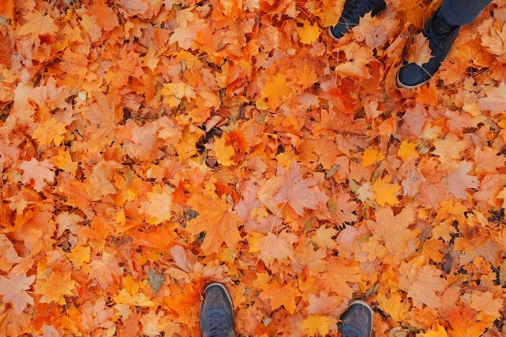 Photograph by Андрей