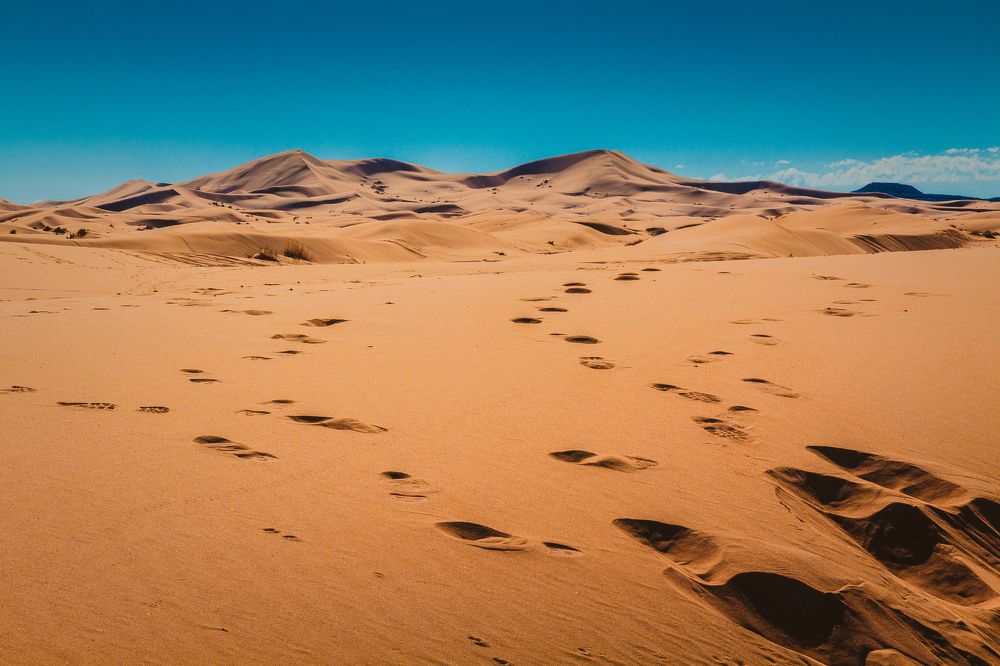 Photograph by Марина Ганина