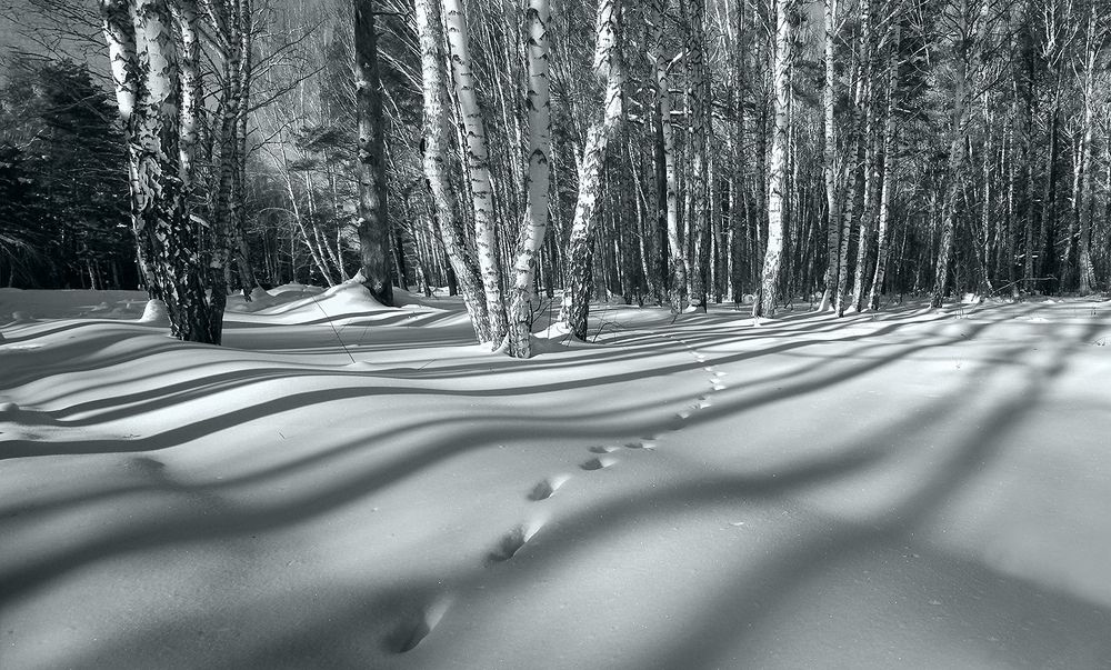 Мелодия зимнего дня