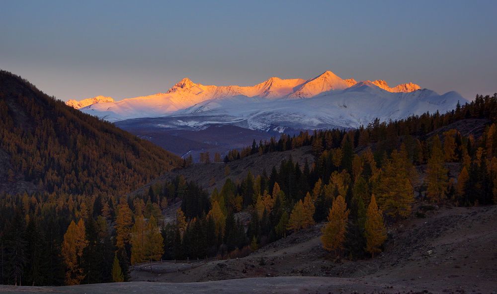 Первый свет