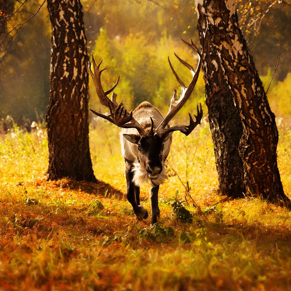 Photograph by Ольга Строцкая