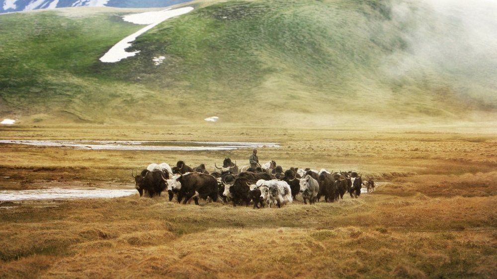 Фотография автора Ольга Строцкая