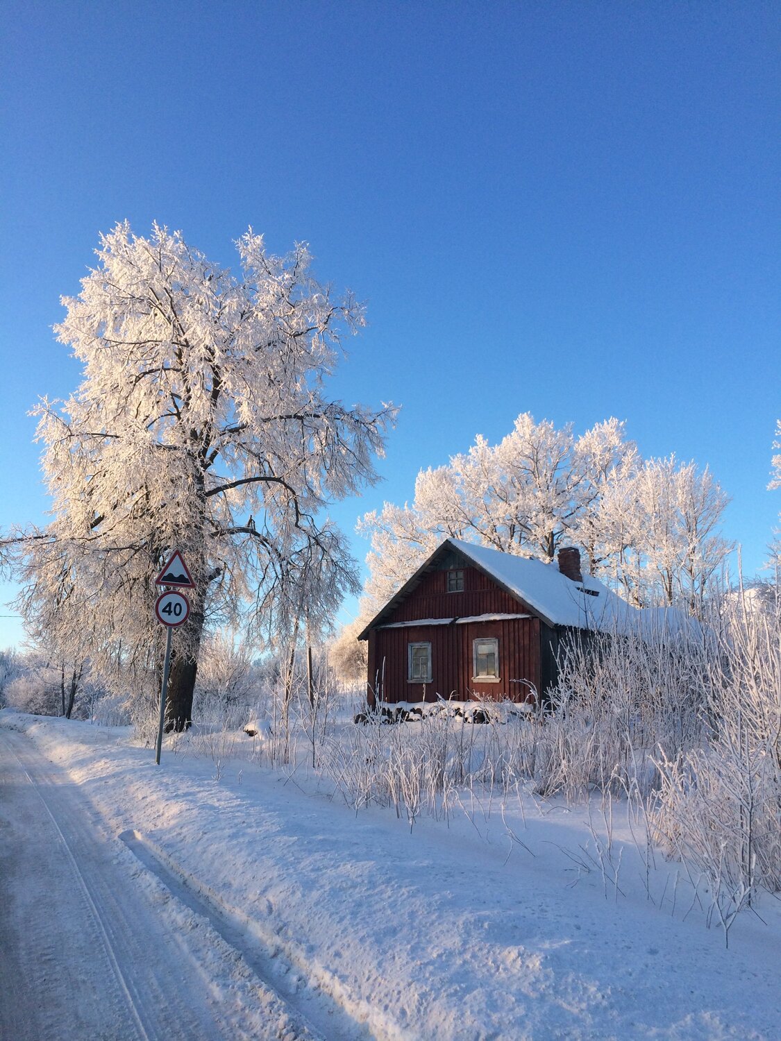 Первый день весны