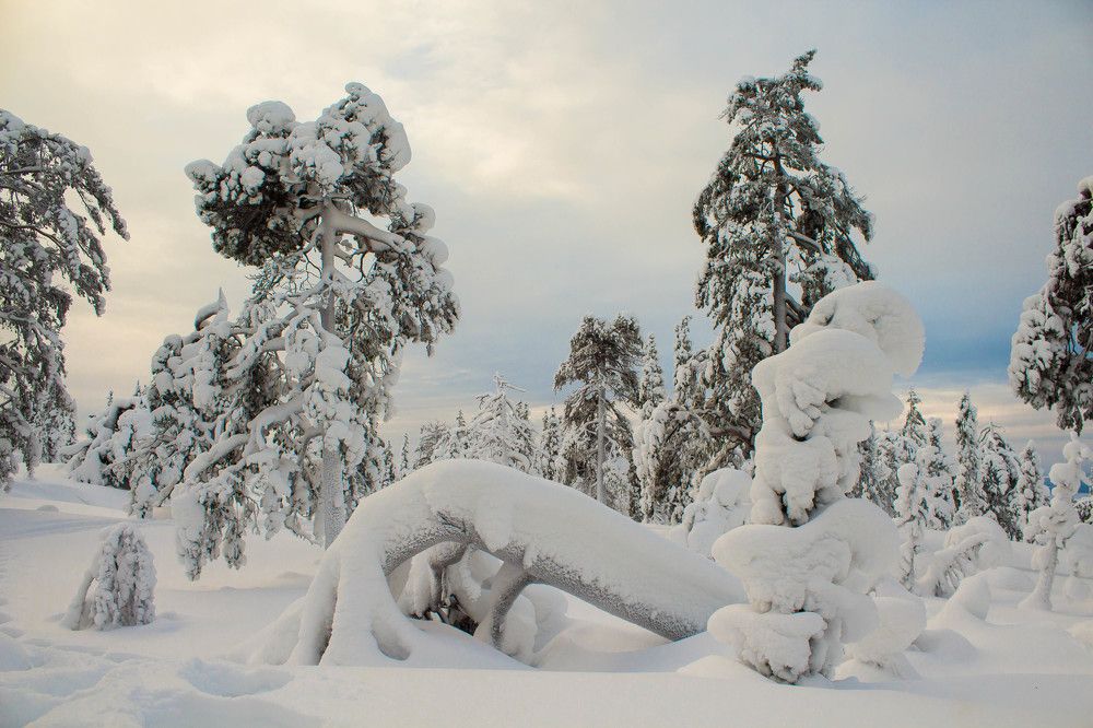 Photograph by Антон