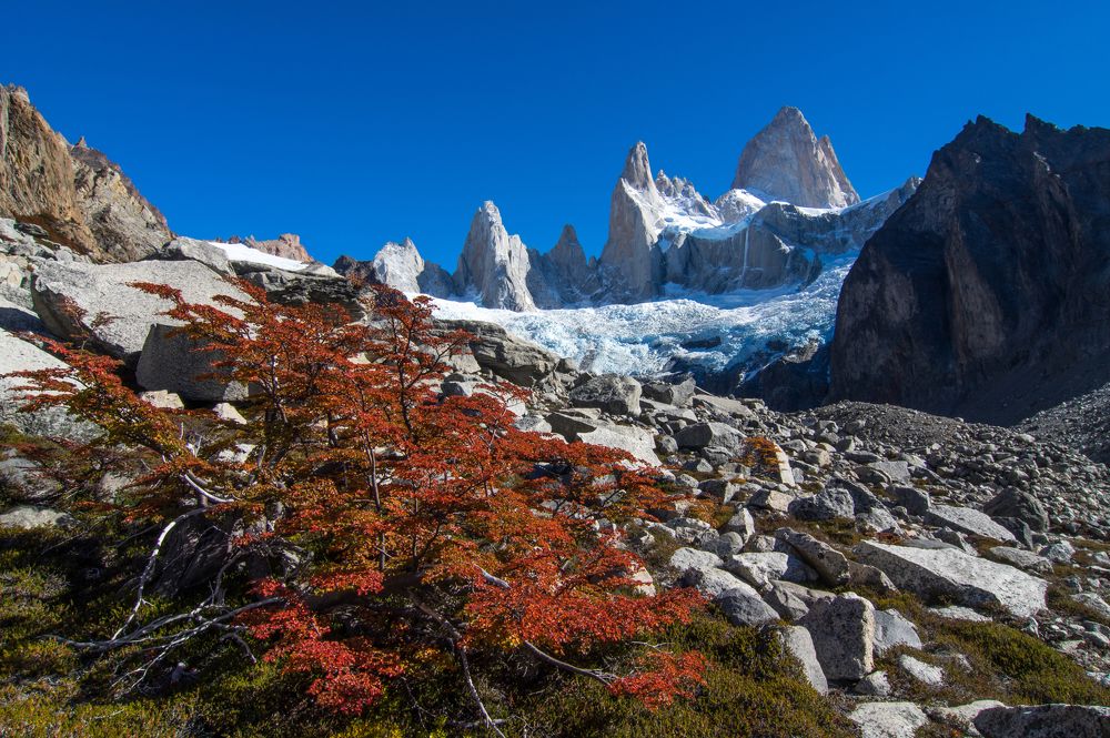 Патагонская осень у Фицроя