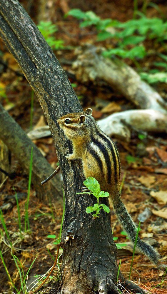 Фотография автора Zakharov Armen