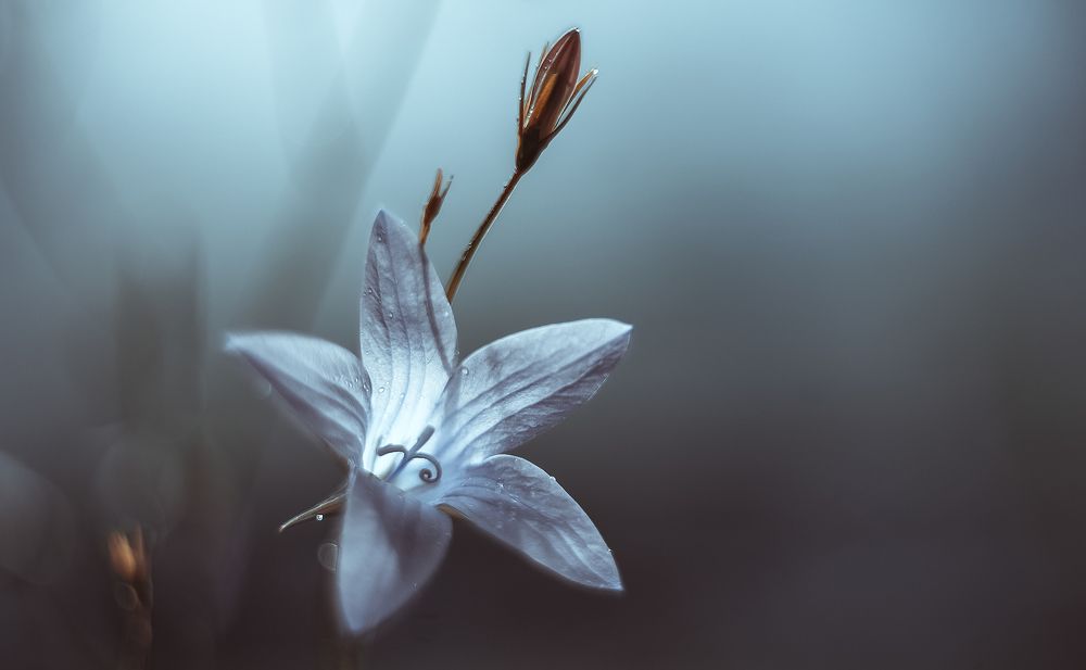 Photograph by Andrey Rut