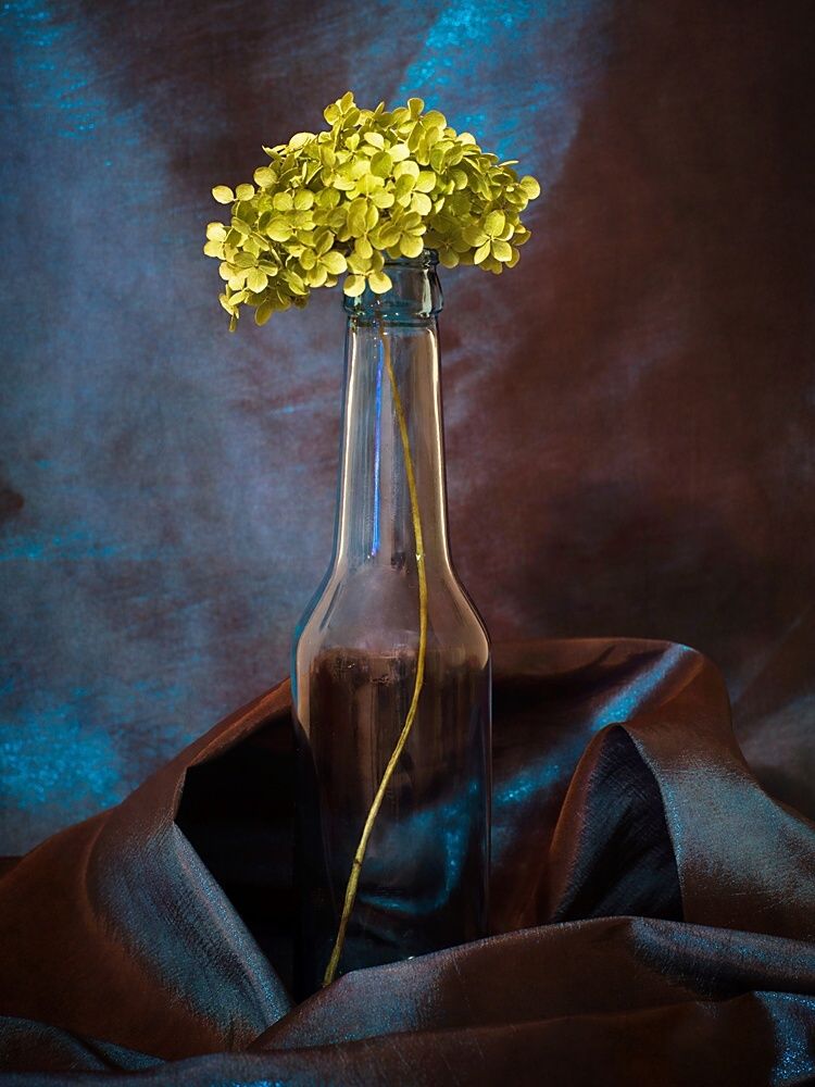 still life with hydrangea