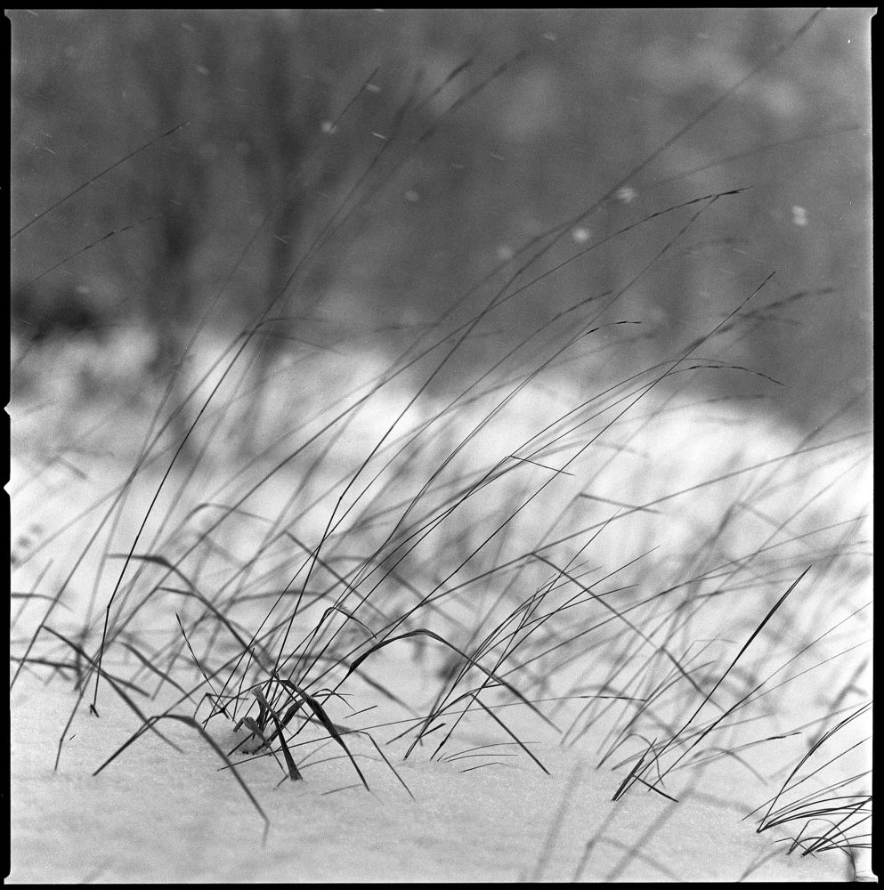 Photograph by Франгони Владимир