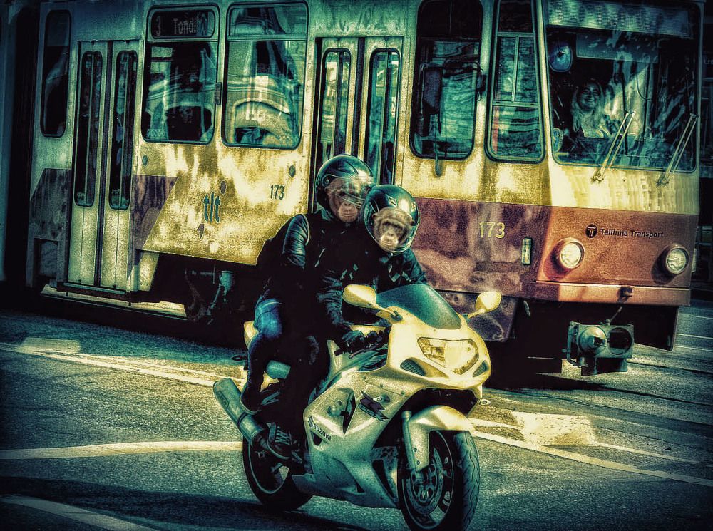 Нас не догонишь