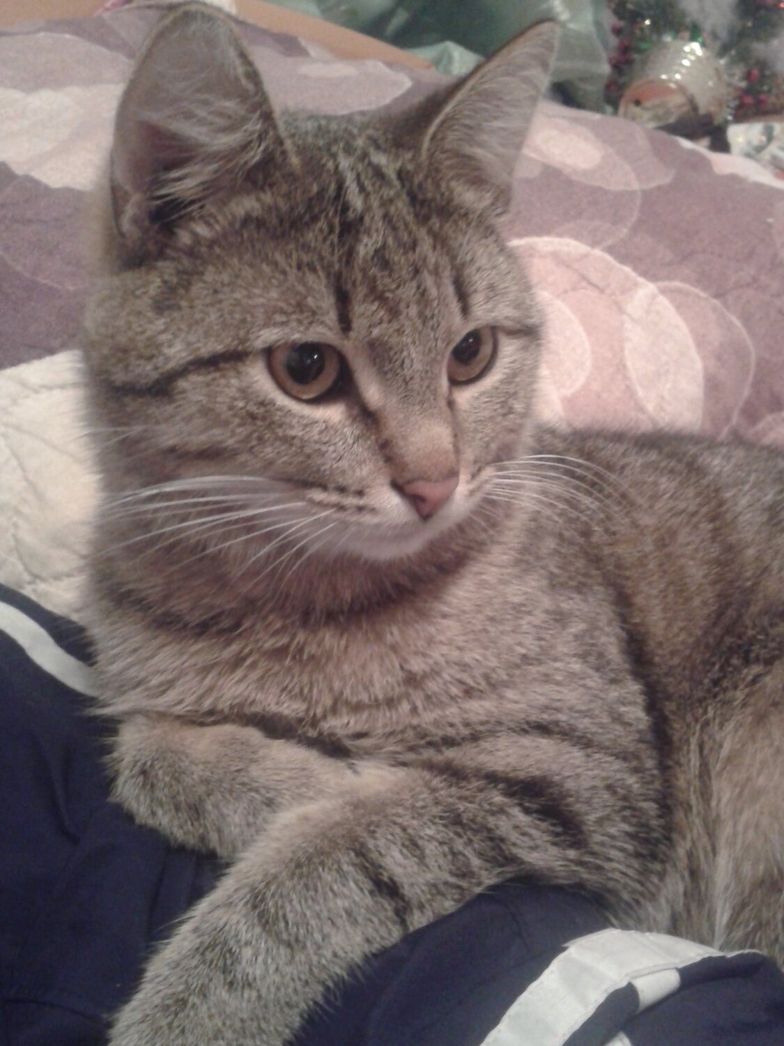 Photo #2250714