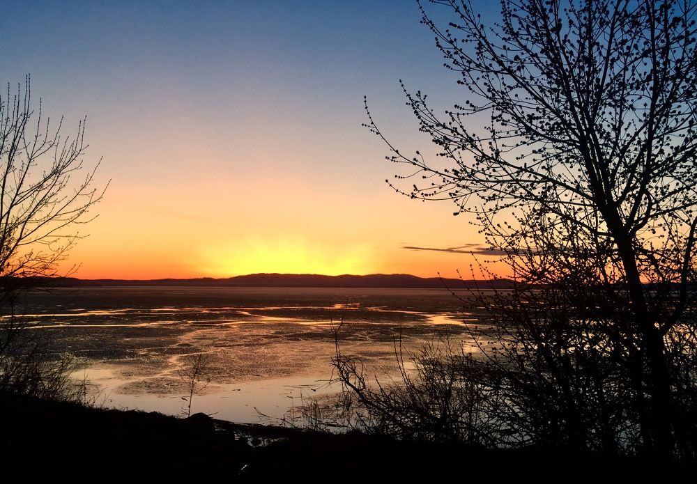 Photograph by Екатерина Новгородцева