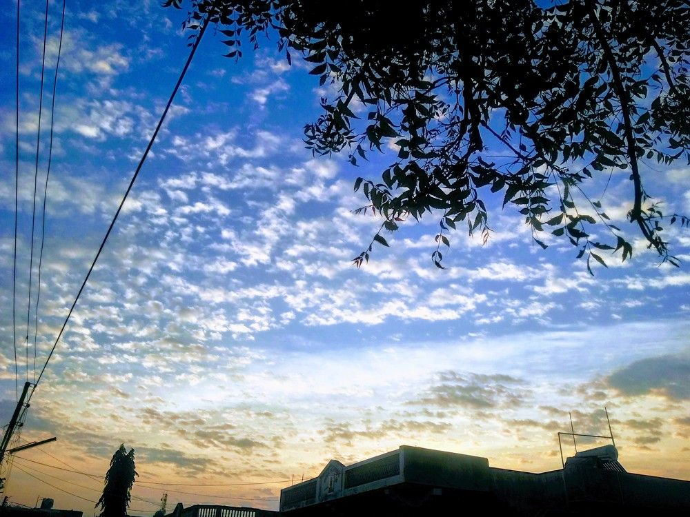 Landscape