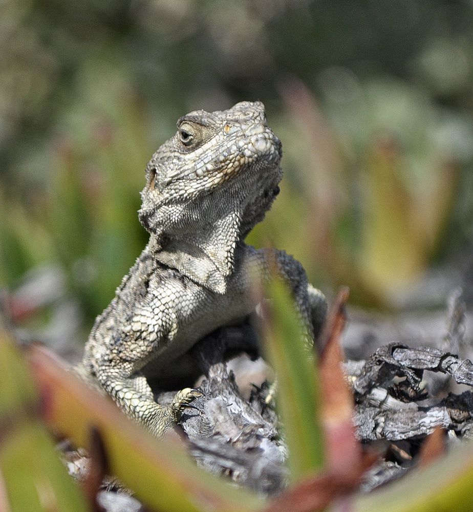 Photograph by Яков