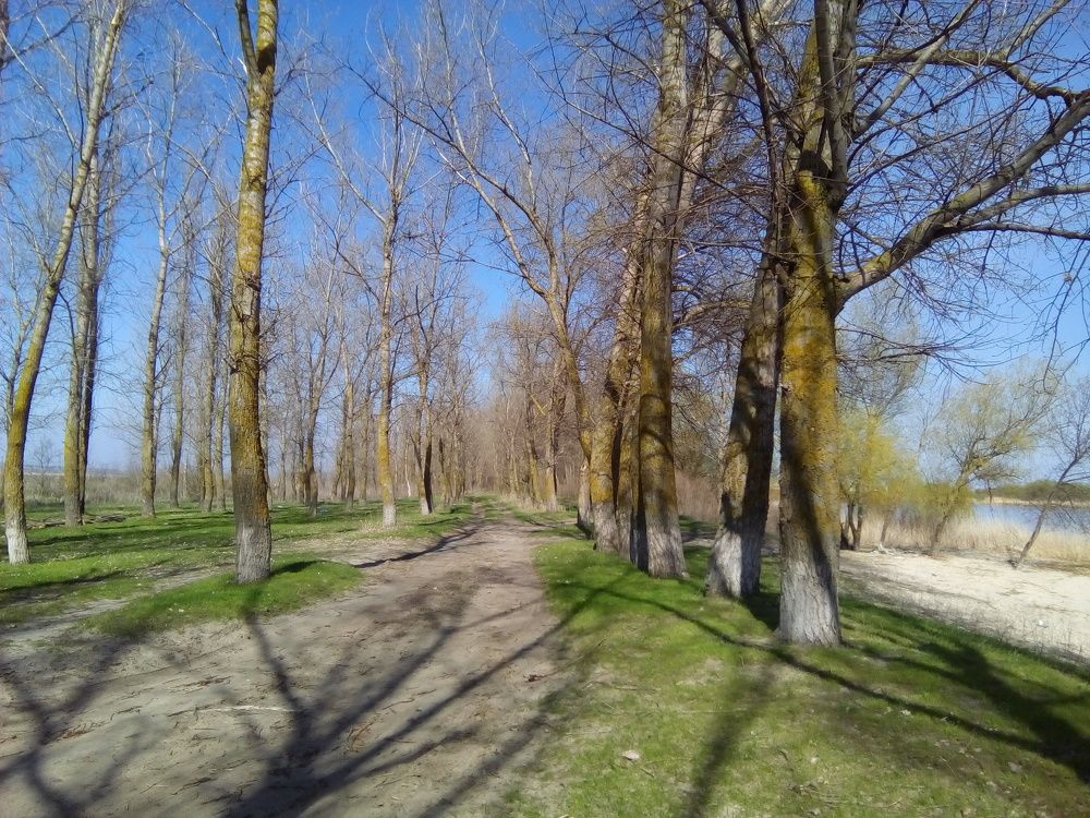 Весна на Дону