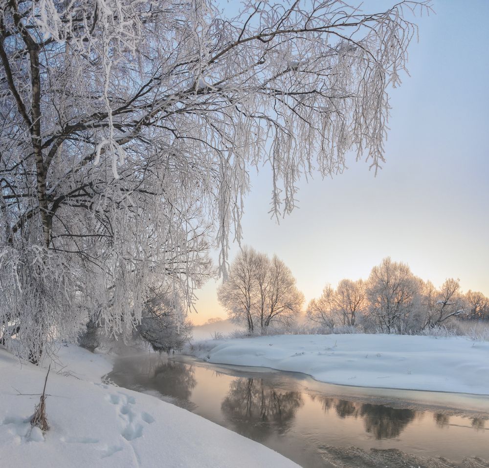 Морозное утро на Серой