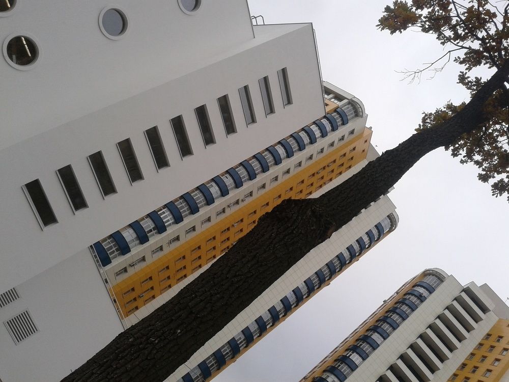 вид с детской площадки