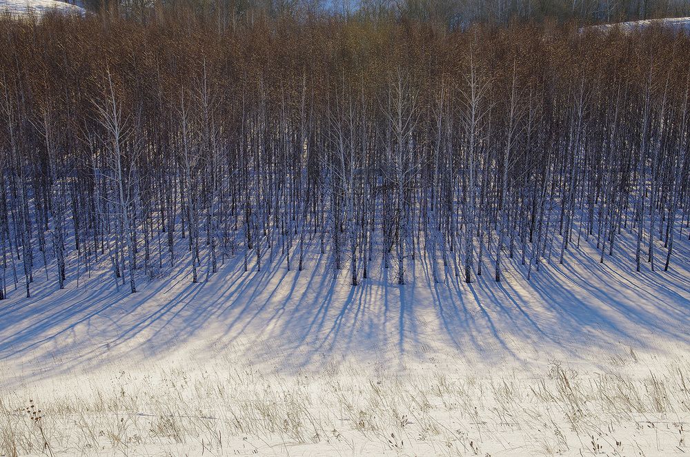 Утренняя Песнь