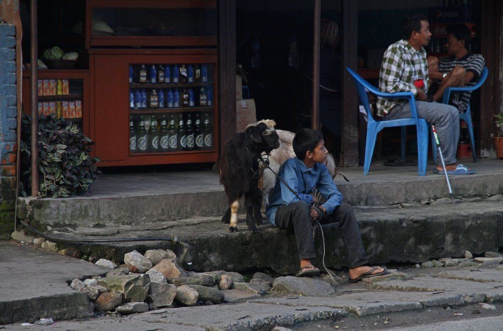 Мальчик с ягненком