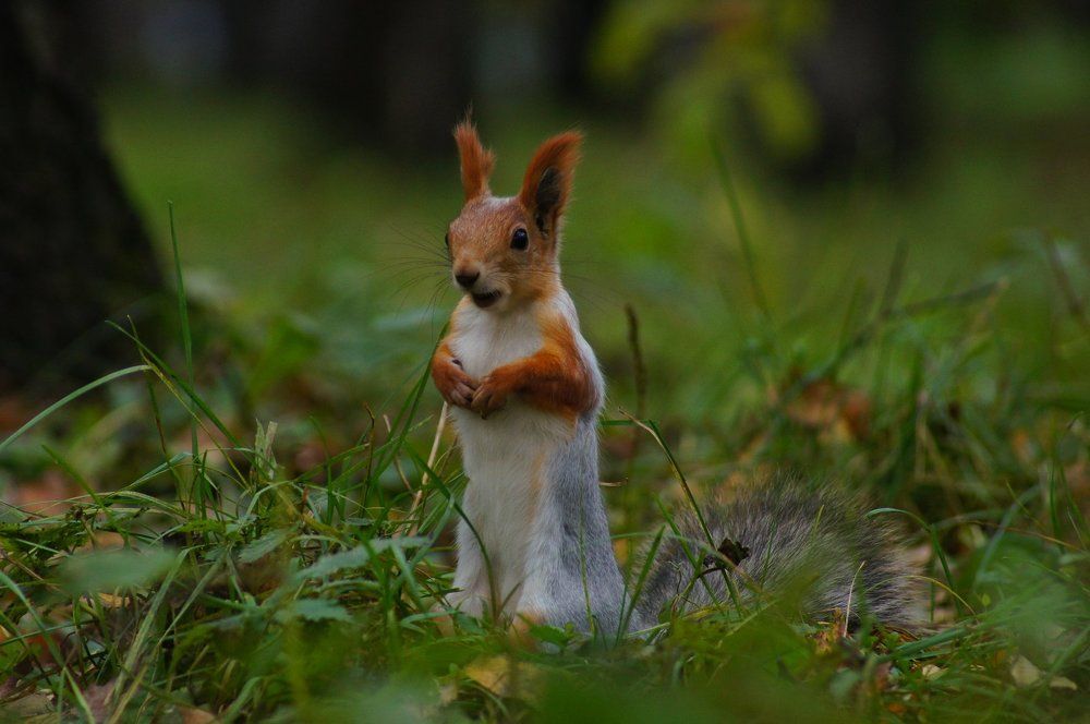 Что случилось?