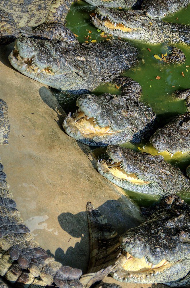 Проголодались