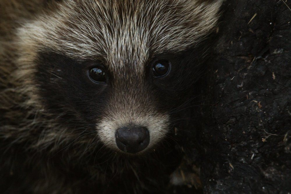 Photograph by Алексей Кашин